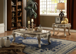 51040 Ranita Sofa Collection by Acme Set Fabric / Champagne
