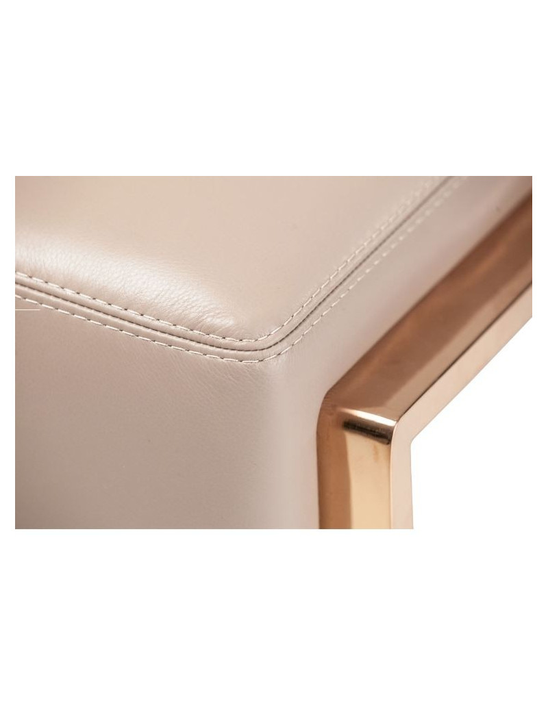 Gianna Leather Sofa - Lt. Coffee By Michael Amini