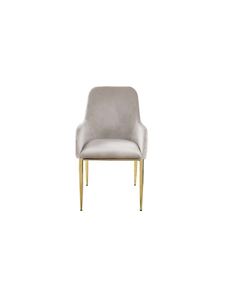 DN00219 Clear Glass Top Gray Velvet & Gold Finish Barnard Collection by Acme Furniture
