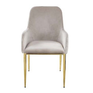 DN00219 Clear Glass Top Gray Velvet & Gold Finish Barnard Collection by Acme Furniture