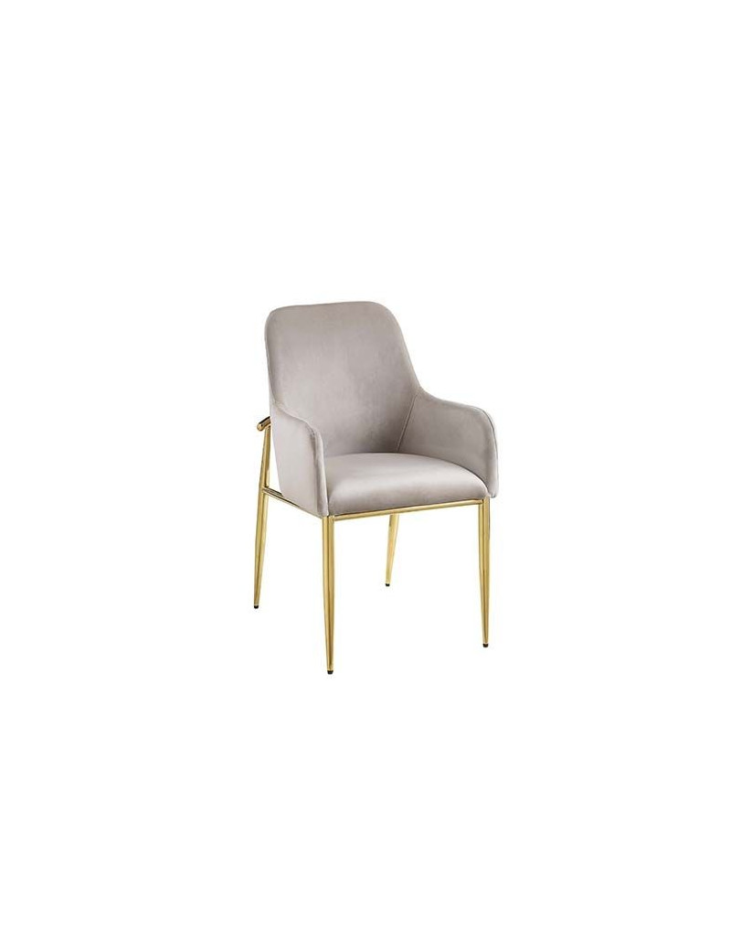 DN00219 Clear Glass Top Gray Velvet & Gold Finish Barnard Collection by Acme Furniture