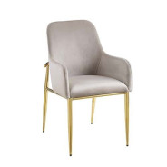 DN00219 Clear Glass Top Gray Velvet & Gold Finish Barnard Collection by Acme Furniture