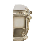 DN01201 Champagne & Gold Finish Server Danae Collection By Acme Furniture