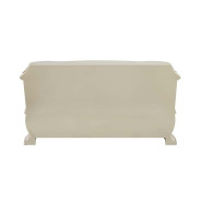 DN01201 Champagne & Gold Finish Server Danae Collection By Acme Furniture