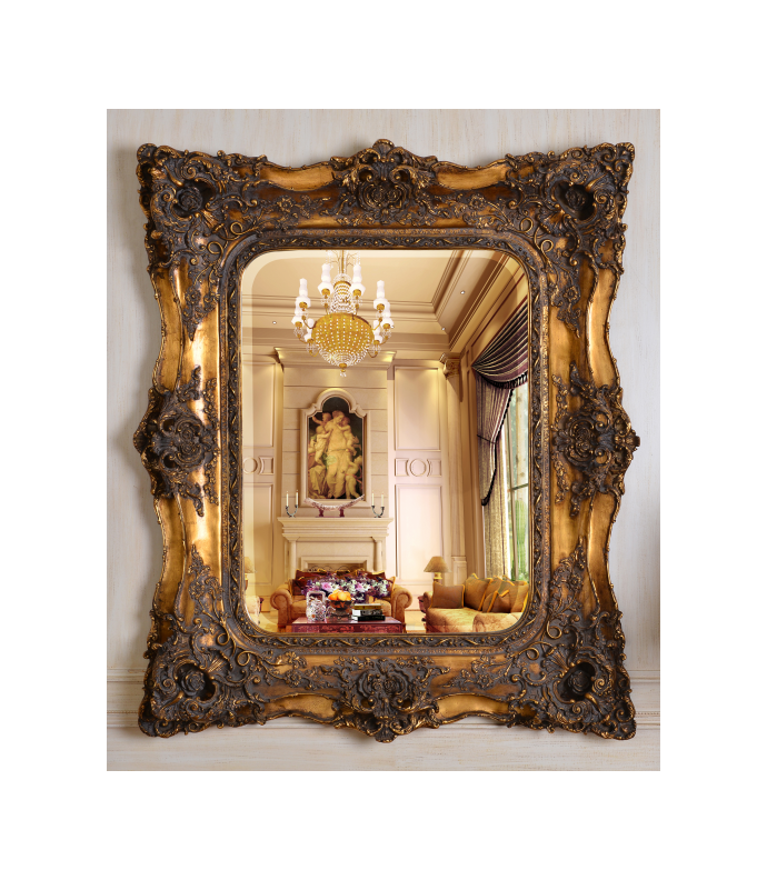 FON213 Antique Gold Finish Luxury Mirror By Infinity Furniture Import