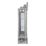 DN 00692 Lavish Classic Light Gold & Gray Finish Curio Valkyrie Collection by Acme Furniture