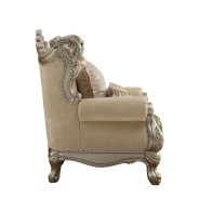 51042 Accent Chair Champagne Finish Living Room Acme Ranita Collection