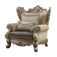 51042 Accent Chair Champagne Finish Living Room Acme Ranita Collection