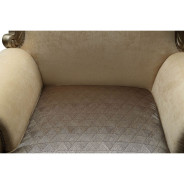 51042 Accent Chair Champagne Finish Living Room Acme Ranita Collection