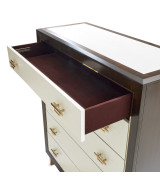 5 Drawer Chest Espresso Finish Belmont Place Collection By Michael Amini.9085070SA-409
