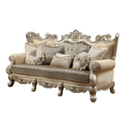 51040 Fabric / Champagne Finish Living Room Acme Ranita Collection