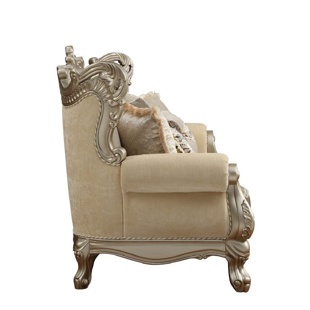 51040 Fabric / Champagne Finish Living Room Acme Ranita Collection