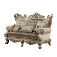 51040 Fabric / Champagne Finish Living Room Acme Ranita Collection