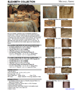 Queen Sleigh Bed honey walnut finish Cortina Collection by Michael Amini NF65011-28