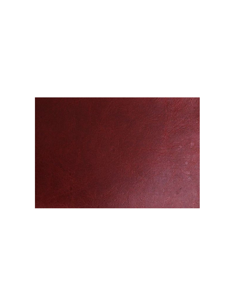 59838 Urban Industrial Chic Antique Red Top Grain Leather Brancaster by Acme Furniture