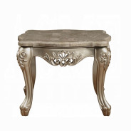 51040 Fabric / Champagne Finish Living Room Acme Ranita Collection
