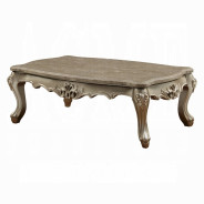 81040 Marble Top Champagne Finish Occasional Tables Ranita Collection By Acme Furniture
