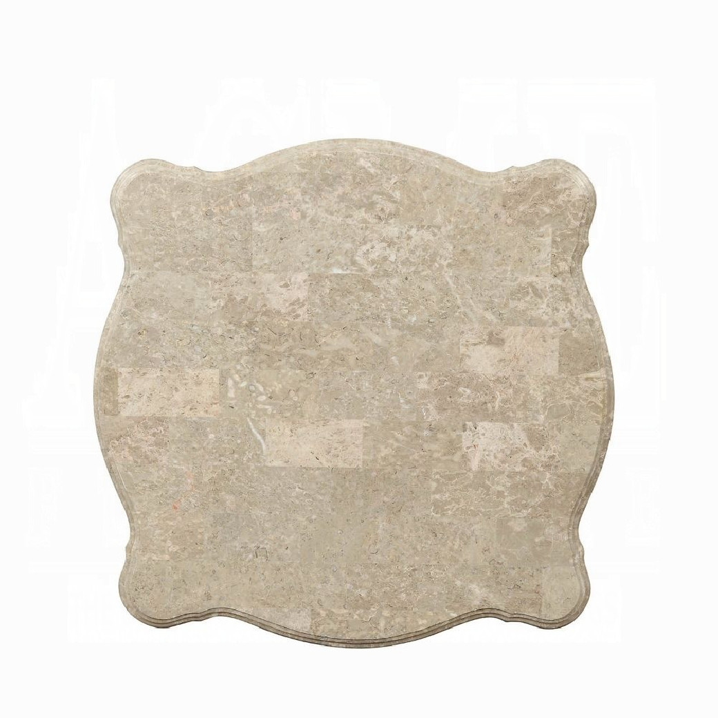 81040 Marble Top Champagne Finish Occasional Tables Ranita Collection By Acme Furniture