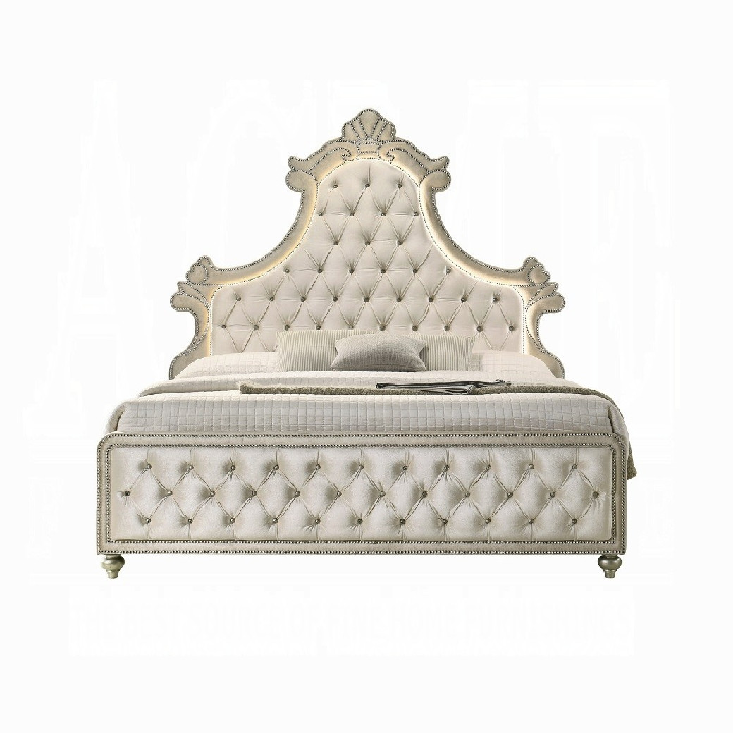 BD02335Q Queen Bed w/Led Upholstered in beige velvet Lucienne Collection By Acme Furniture
