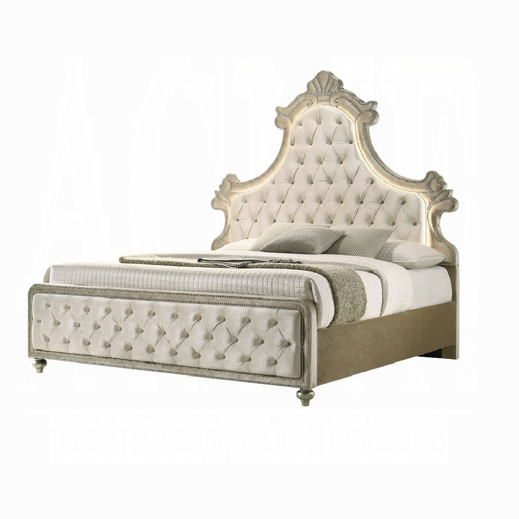 BD02335Q Queen Bed w/Led Upholstered in beige velvet Lucienne Collection By Acme Furniture