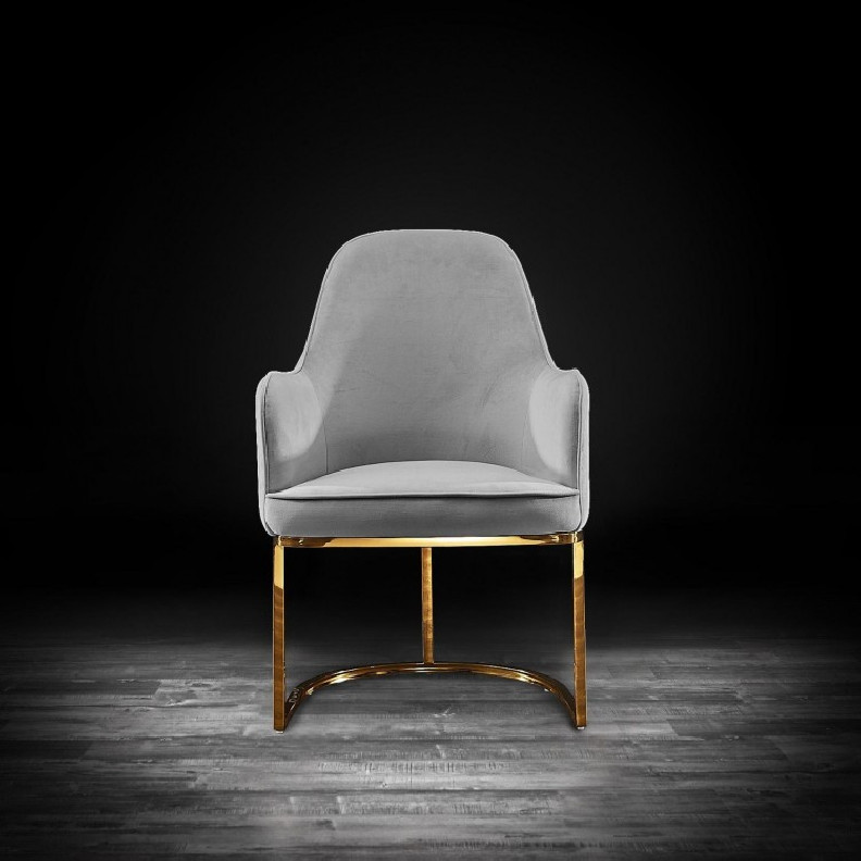Andria Luxury & Modern Titanium Gold Dining Chair Gray Velvet by Roberto Grassie