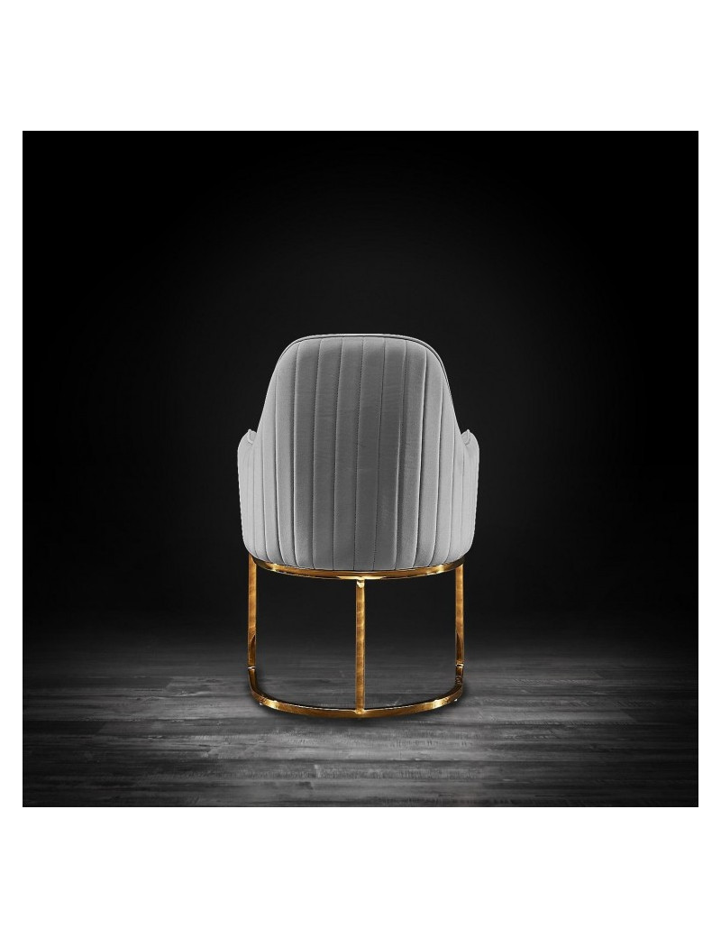 Andria Luxury & Modern Titanium Gold Dining Chair Gray Velvet by Roberto Grassie
