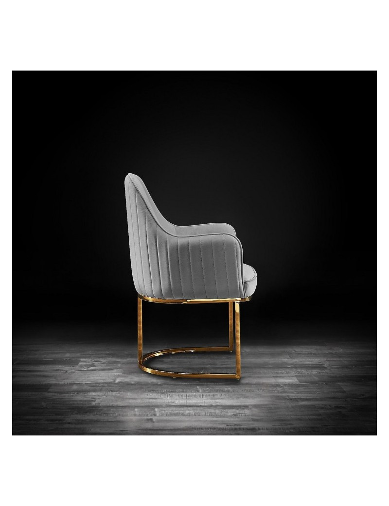 Andria Luxury & Modern Titanium Gold Dining Chair Gray Velvet by Roberto Grassie