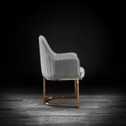 Andria Luxury & Modern Titanium Gold Dining Chair Gray Velvet by Roberto Grassie