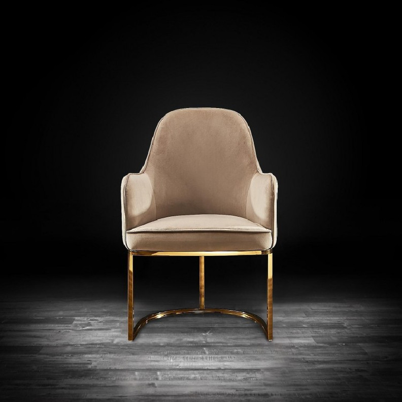 Andria Luxury & Modern Titanium Gold Dining Chair Taupe Velvet by Roberto Grassie