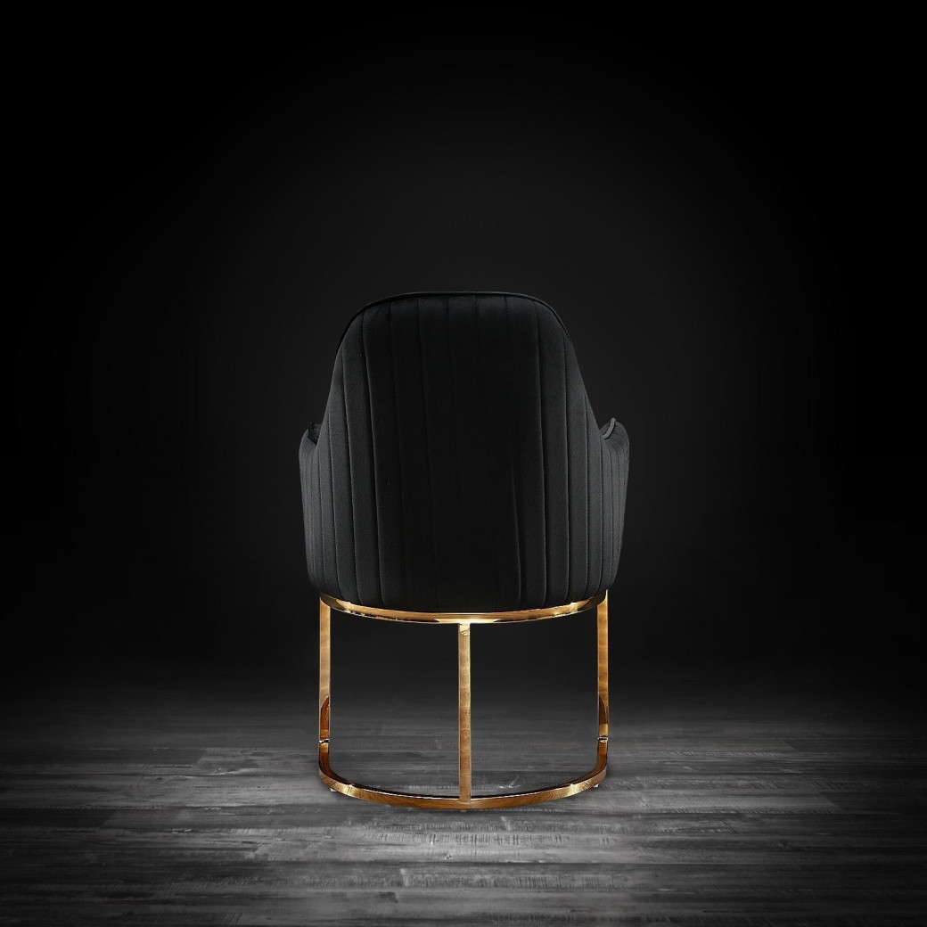 Andria Luxury & Modern Titanium Gold Dining Chair Black Velvet by Roberto Grassie