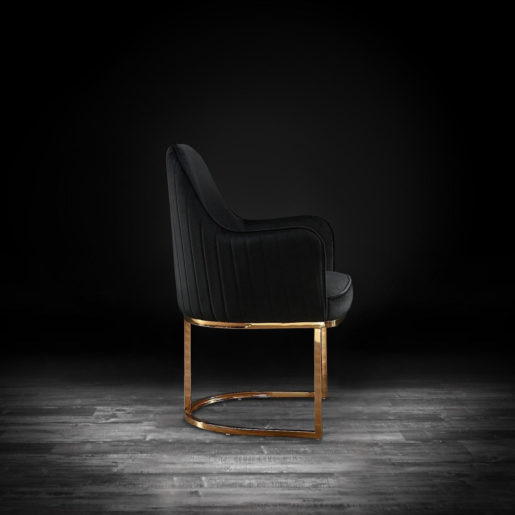 Andria Luxury & Modern Titanium Gold Dining Chair Black Velvet by Roberto Grassie