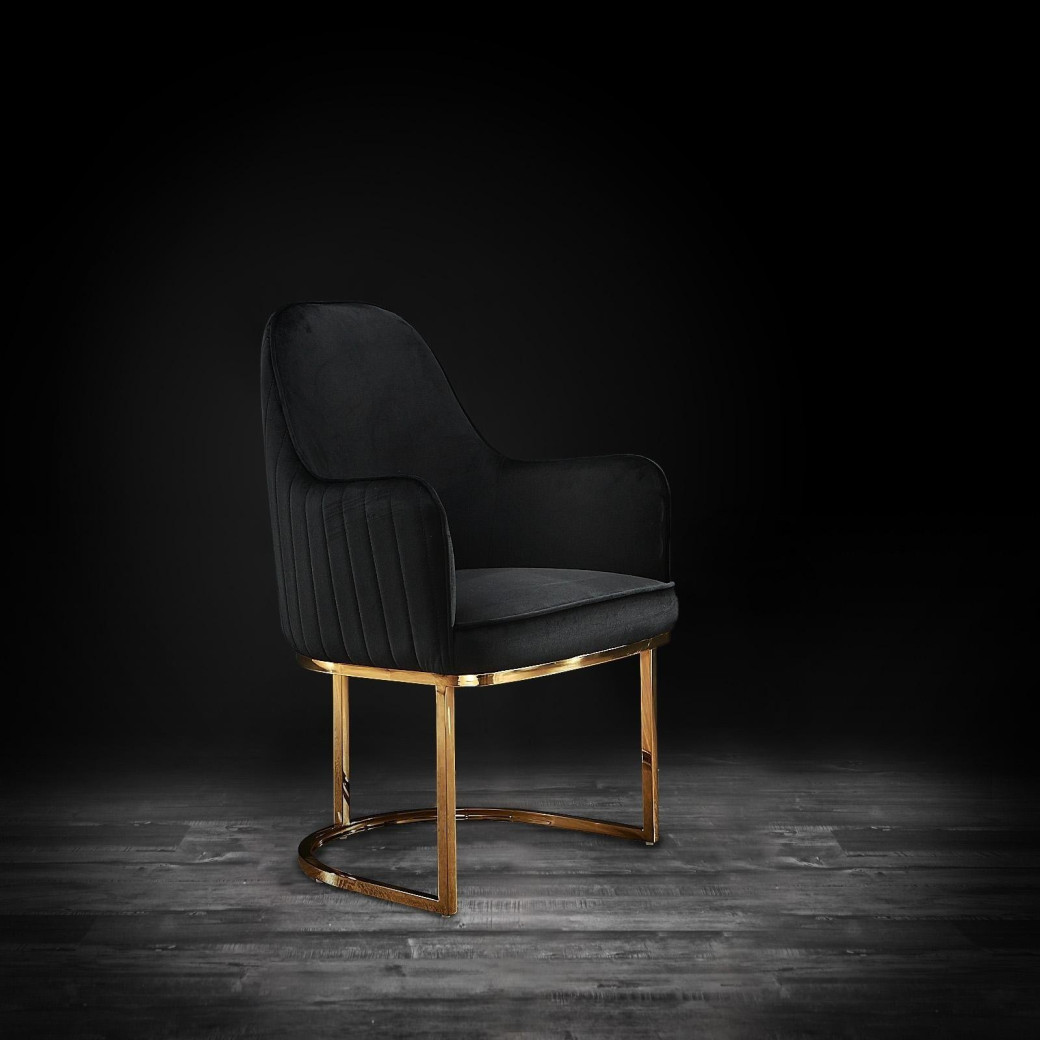 Andria Luxury & Modern Titanium Gold Dining Chair Black Velvet by Roberto Grassie