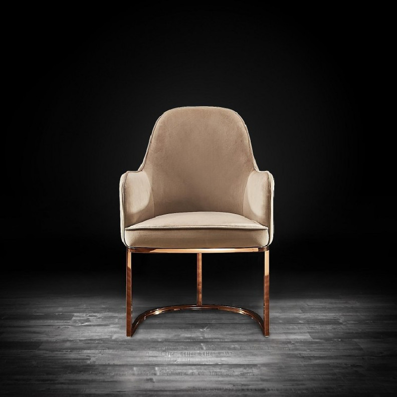 Andria Luxury & Modern Titanium Gold Dining Chair Taupe Velvet by Roberto Grassie
