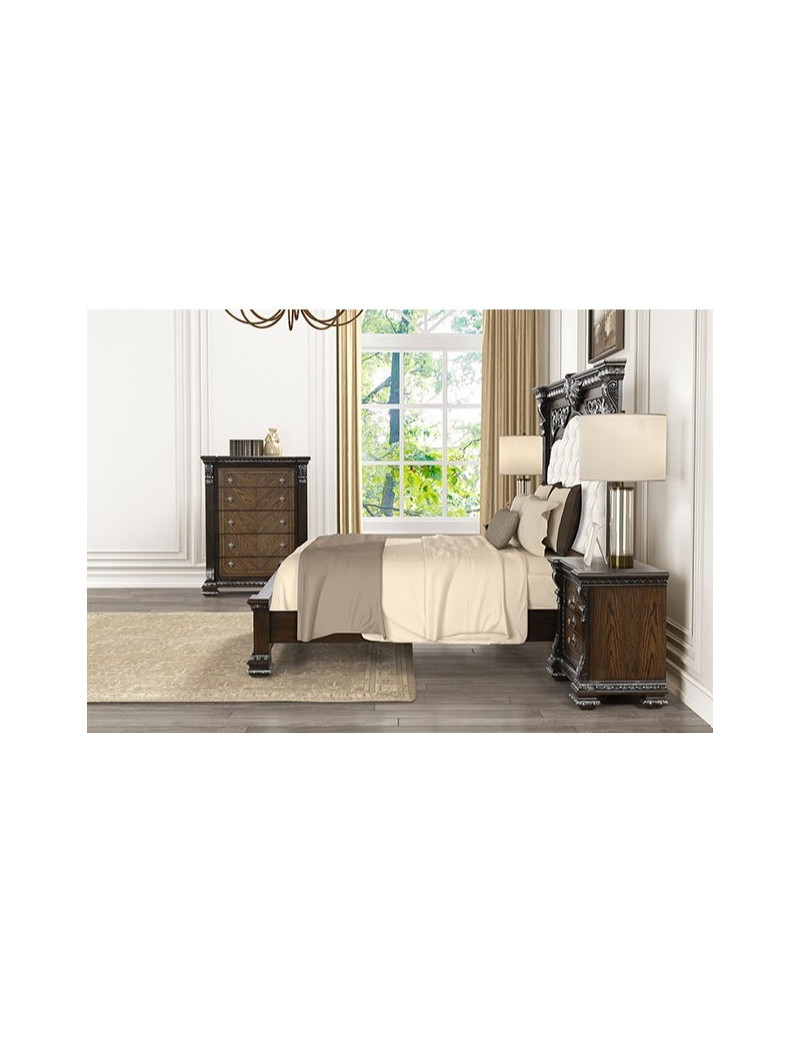 FM70002DB 5PC Queen Bedroom Set Traditional Style Promenade Collection by Furniture of America