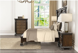 FM70002DB 5PC Queen Bedroom Set Traditional Style Promenade Collection by Furniture of America
