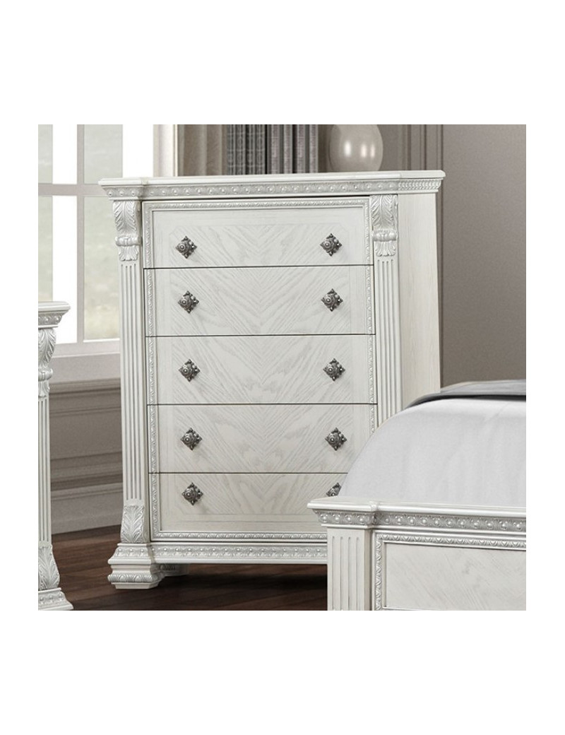 FM70001WH 5PC Queen Bedroom Set Traditional Style Brushed White Promenade Collection by Furniture of America