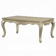 LV03820 Living Room Beige Fabric & Champagne Finish Libertee Collection By Acme Furniture