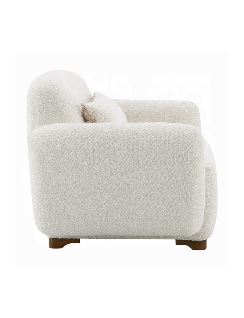 LV04540 Darius Sofa w/2 Pillows by Acme Furniture