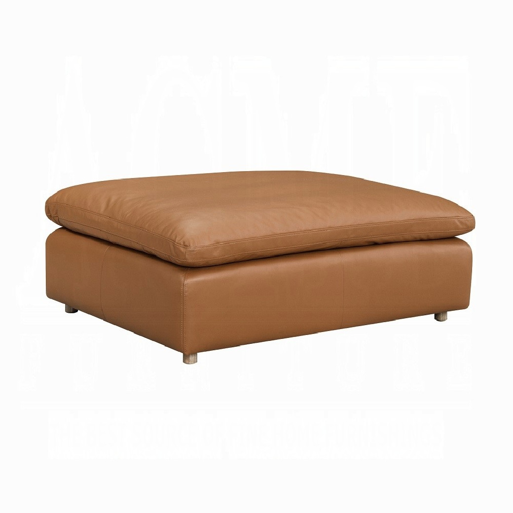 LV03370 Top Grain Brown Leather Brighton Sectional by Acme Furniture
