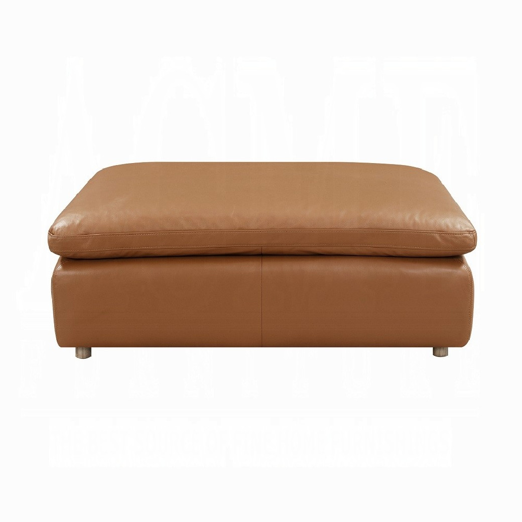 LV03370 Top Grain Brown Leather Brighton Sectional by Acme Furniture