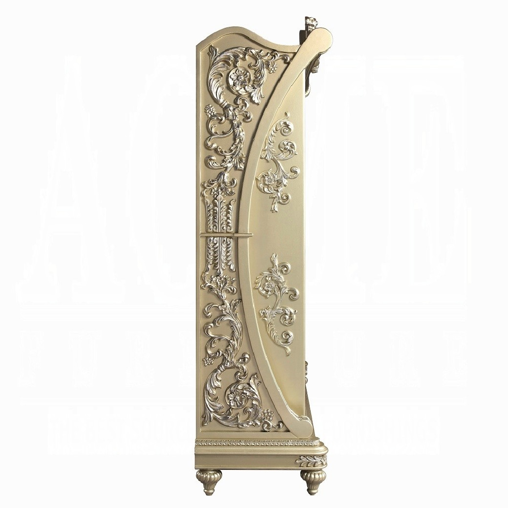 DN00470 Curio Cabinet Champagne Silver Finish Vatican Collection By Acme Furniture