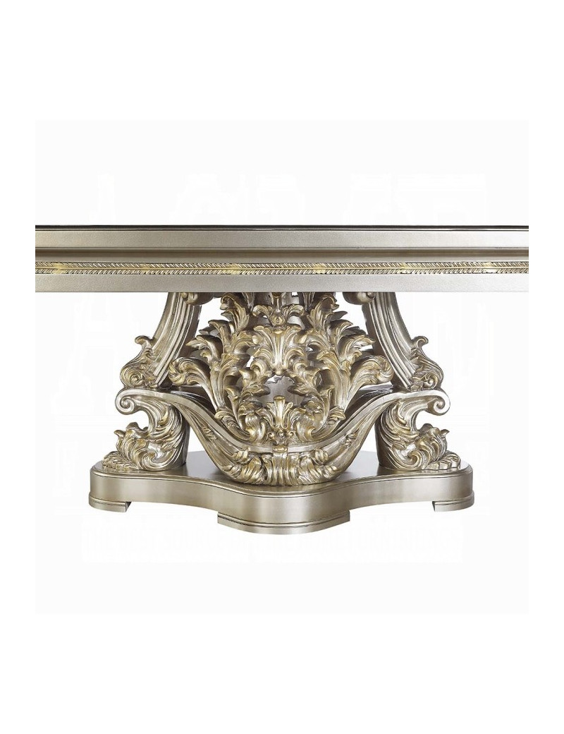 DN 01197 PU Champagne & Gold Finish Dining Room Victorian Style Danae Collection By Acme Furniture
