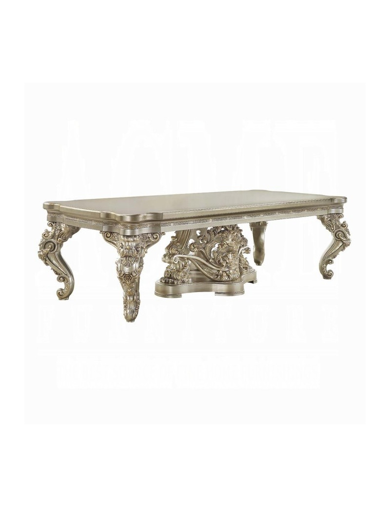 DN 01197 PU Champagne & Gold Finish Dining Room Victorian Style Danae Collection By Acme Furniture