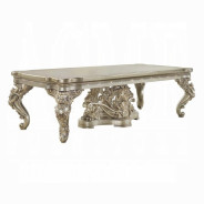 DN 01197 PU Champagne & Gold Finish Dining Room Victorian Style Danae Collection By Acme Furniture