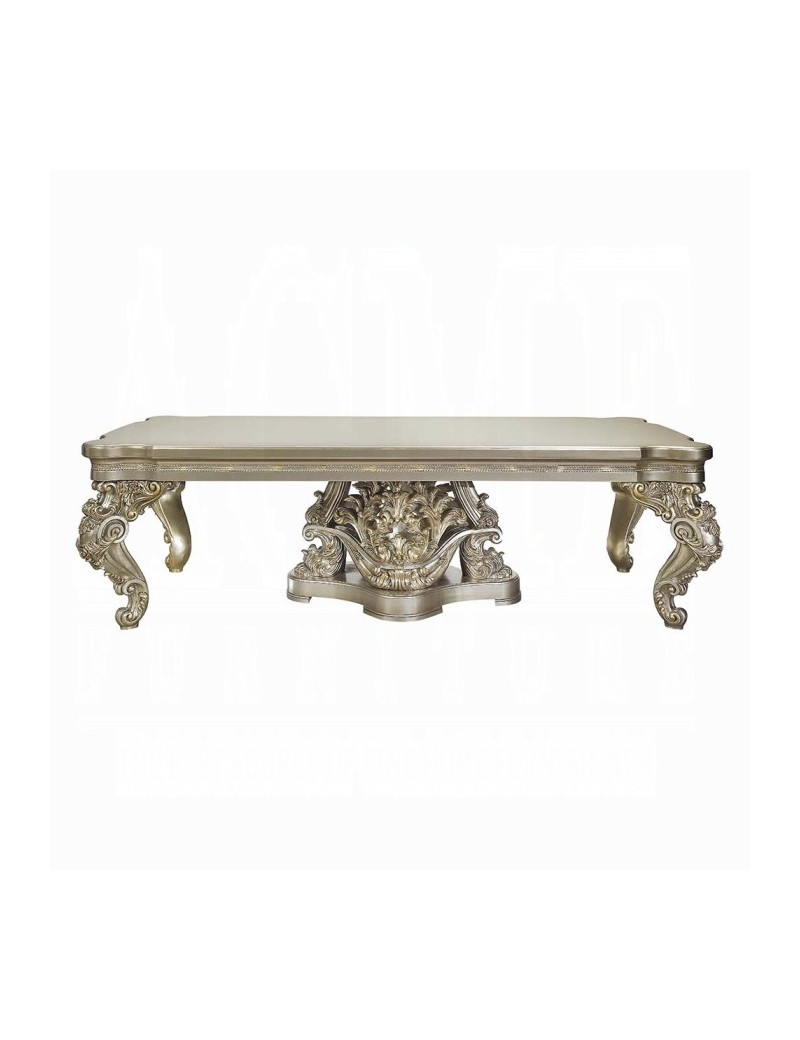 DN 01197 PU Champagne & Gold Finish Dining Room Victorian Style Danae Collection By Acme Furniture