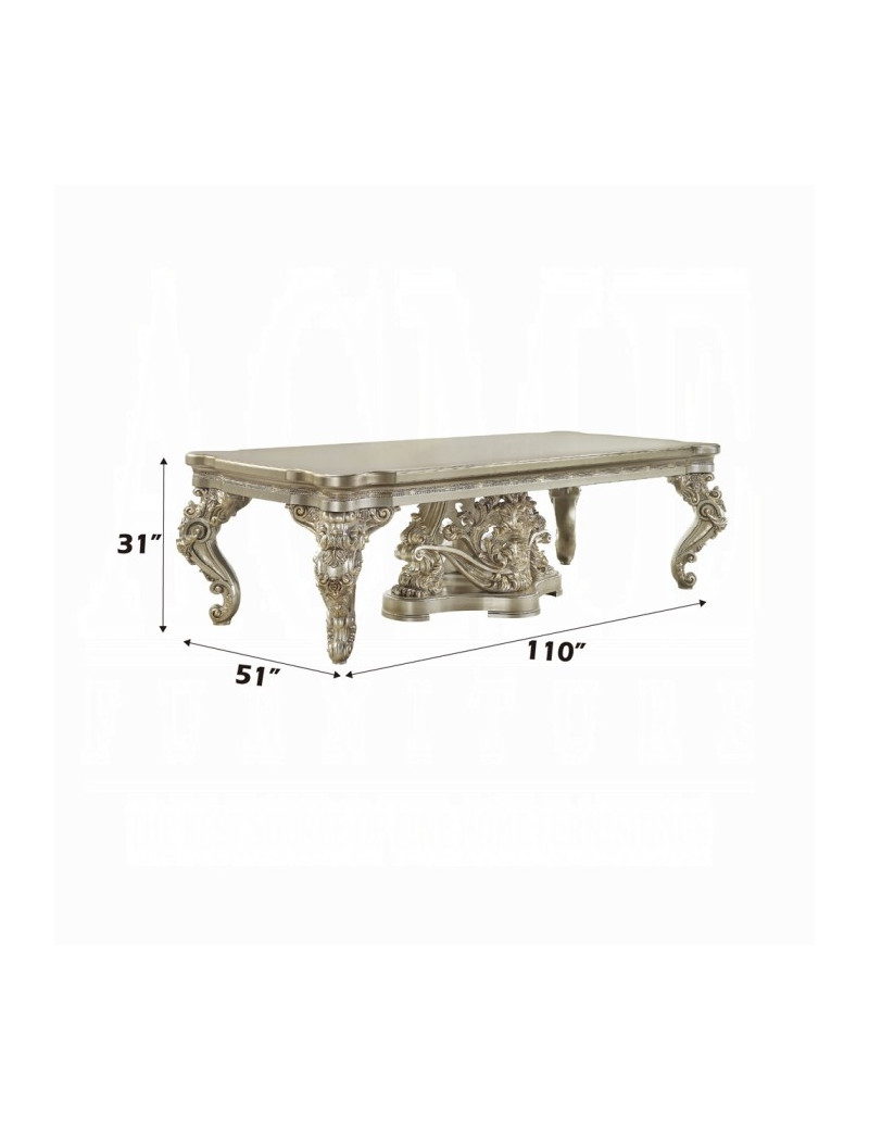 DN 01197 PU Champagne & Gold Finish Dining Room Victorian Style Danae Collection By Acme Furniture