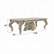 DN 01197 PU Champagne & Gold Finish Dining Room Victorian Style Danae Collection By Acme Furniture