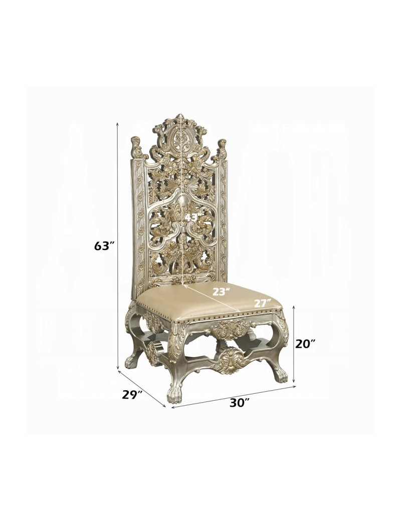 DN 01197 PU Champagne & Gold Finish Dining Room Victorian Style Danae Collection By Acme Furniture