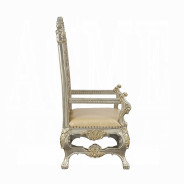 DN 01197 PU Champagne & Gold Finish Dining Room Victorian Style Danae Collection By Acme Furniture