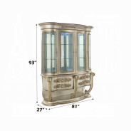 DN 01197 PU Champagne & Gold Finish Dining Room Victorian Style Danae Collection By Acme Furniture